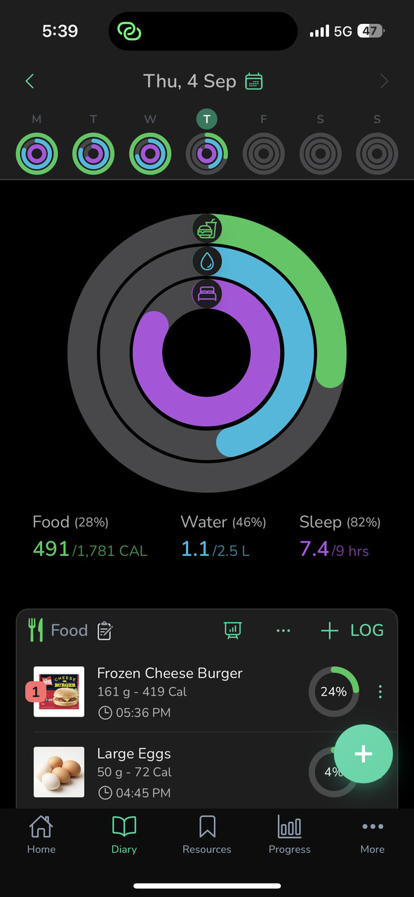 Diary Overview
